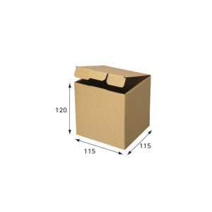 【箱】 ナチュラルボックス Z-110 115×115×120(10枚×5束)