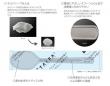 ≪束在庫限り≫【使い捨て食器】 天然素材配合 TAスプーン 160mm 個包装タイプ 100本入