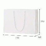 【紙袋】シャイニーバッグ LLW600×130×450mm (10枚入り)