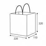 ≪在庫限り廃盤≫【紙袋】紙袋220×110×320mmPP貼り Sサイズ (白)