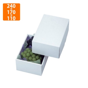 【化粧箱】LTO-18 パール アレキ 240×170×110mm (50枚入)
