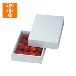 【化粧箱】LTO-28 パール DX 290×205×60mm (50枚入)