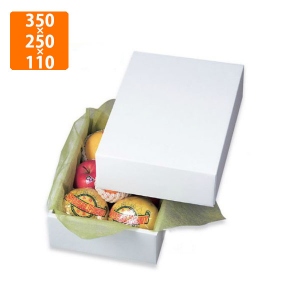 【化粧箱】LTO-4 グロス 350×250×110mm (40枚入)