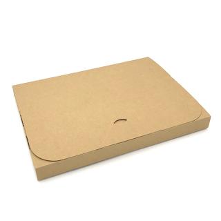 在庫限り【梱包資材】 ポストインケース 305×220×28mm (高さ3cmまでゆうパケット対応)