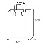 【ポリ袋】ハッピータックMサイズ<透明>220×80×350mm〈10枚入り〉