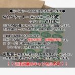 【シール】青果シール カットフルーツ  透明PET 235×35mm LZ701 (100枚入り)