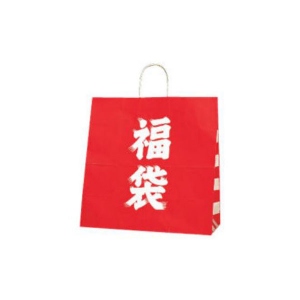 【紙袋】 福袋 25チャームバッグ 45-1 450×220×455 (50枚入)